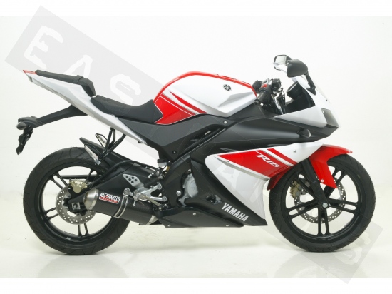 Uitlaat GIANNELLI IPERSPORT Carbon Yamaha YZF125R '08-'13